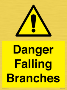 Danger Falling Branches